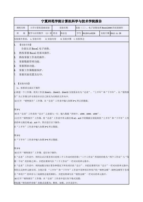 《大学计算机基础》实验报告格1