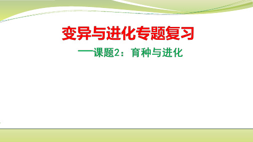 2020高考生物育种与进化精讲课件(37张)