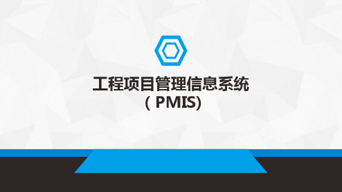 10工程项目管理信息系统(PMIS)