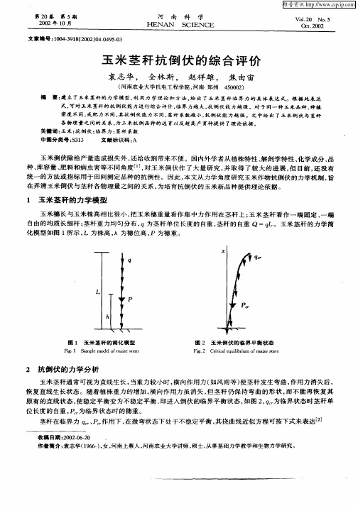 玉米茎杆抗倒伏的综合评价