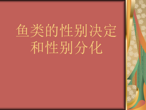 鱼类的性别决定和性别分化