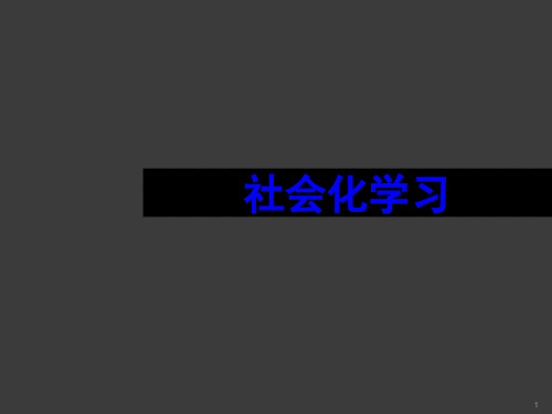 社会化学习ppt课件