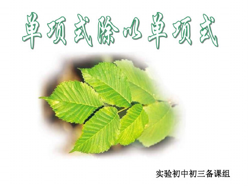 整式的除法(二)--单项式除以单项式[上学期]--华师大版