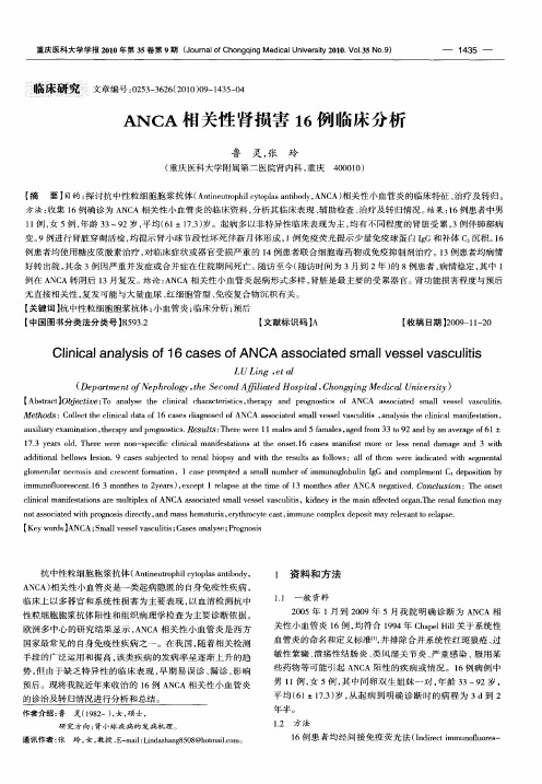 ANCA相关性肾损害16例临床分析