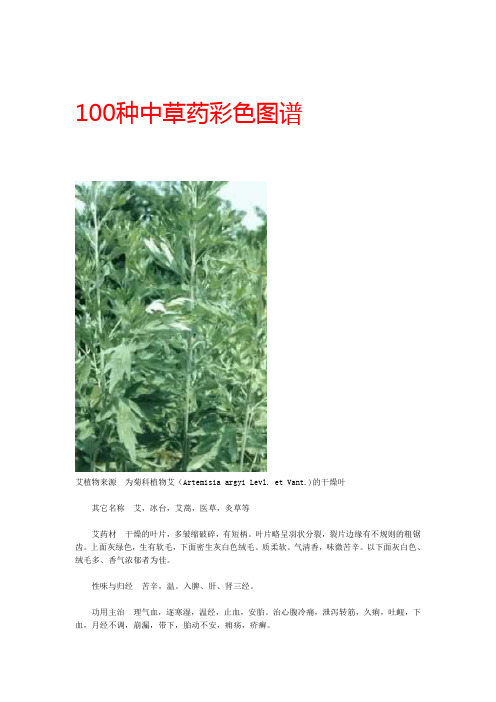 100种中草药彩色图谱(1)