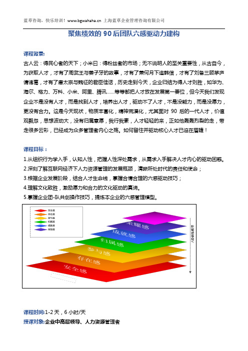 《聚焦绩效的90后团队六感驱动力建构》