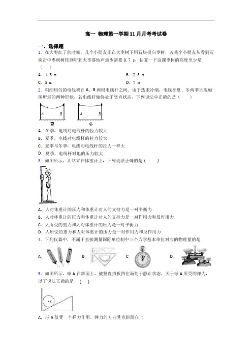 高一 物理第一学期11月月考考试卷