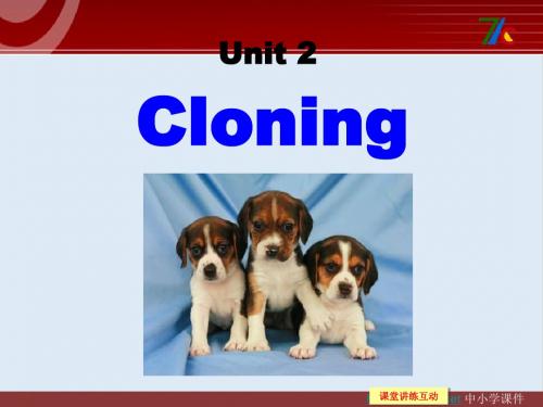 最新人教版高中英语选修8 Unit 2《Cloning》(Warming up)课件