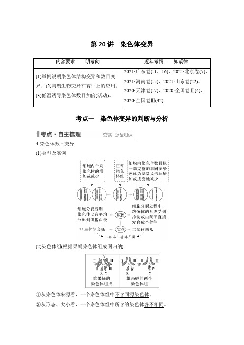 第7单元 生物的变异和进化：第20讲 染色体变异