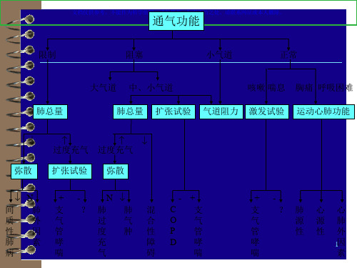 肺通气功能检查课件