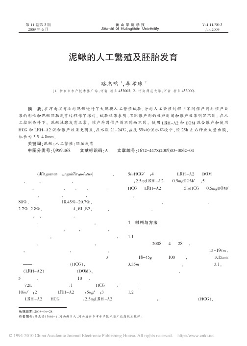 泥鳅的人工繁殖及胚胎发育