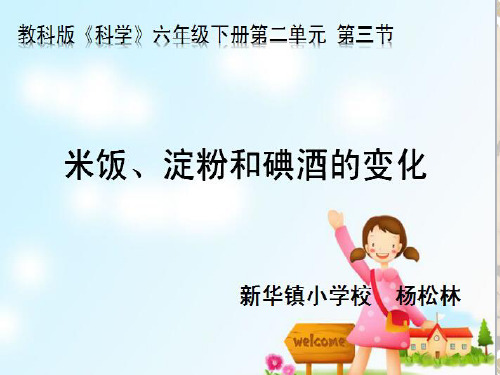 六年级下册科学《控制铁生锈的速度》(7) 教科版