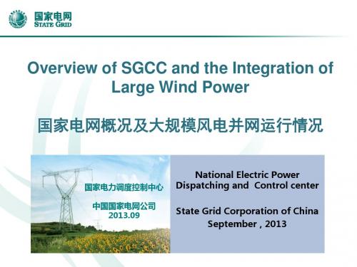 2011年国家科学技术进步奖初评答辩材料-InnovativeWindEnergy