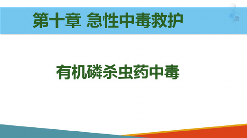 急性中毒—有机磷杀虫药中毒的救护(护理课件)