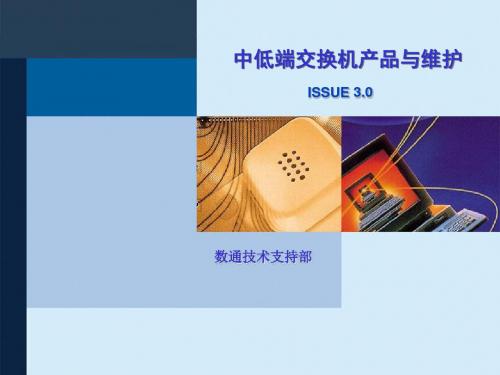 【产品管理】DS100201中低端交换机产品与维护培训胶片ISSUE30