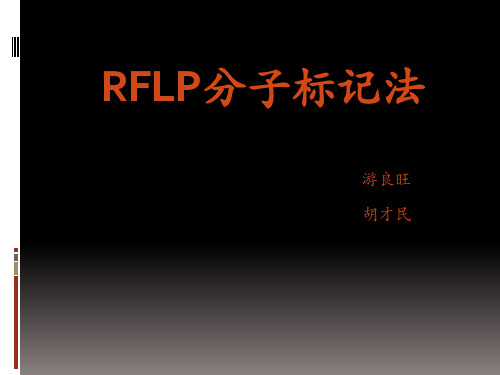 一、RFLP概念