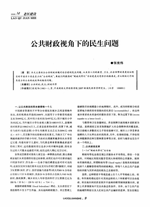 公共财政视角下的民生问题