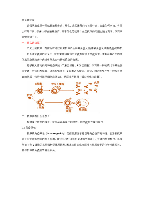 什么是抗原