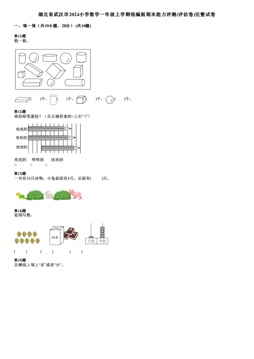 湖北省武汉市2024小学数学一年级上学期统编版期末能力评测(评估卷)完整试卷