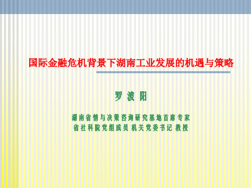 国际金融危机背景下湖南工业发展的机遇与策略