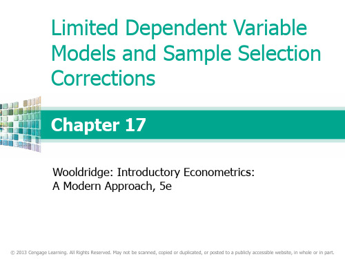 《计量经济学导论》ch17.ppt