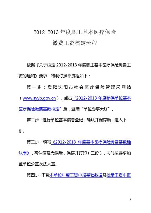 2012-2013年度沈阳医疗保险网上核定操作流程