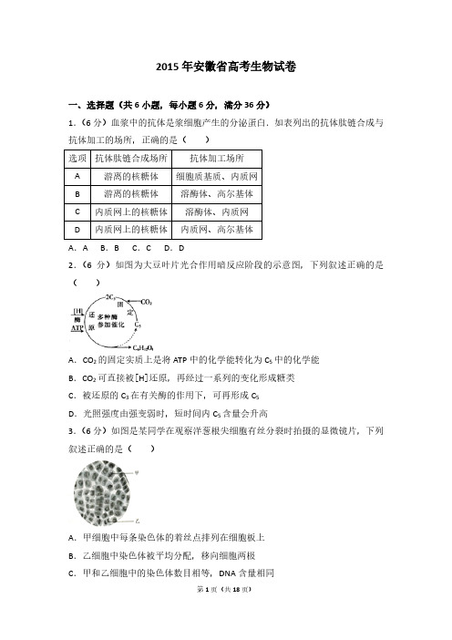 2015年安徽省高考生物试卷