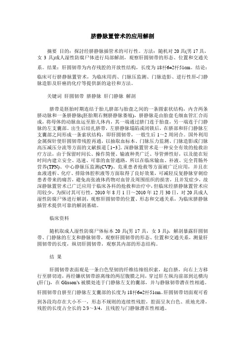 脐静脉置管术的应用解剖