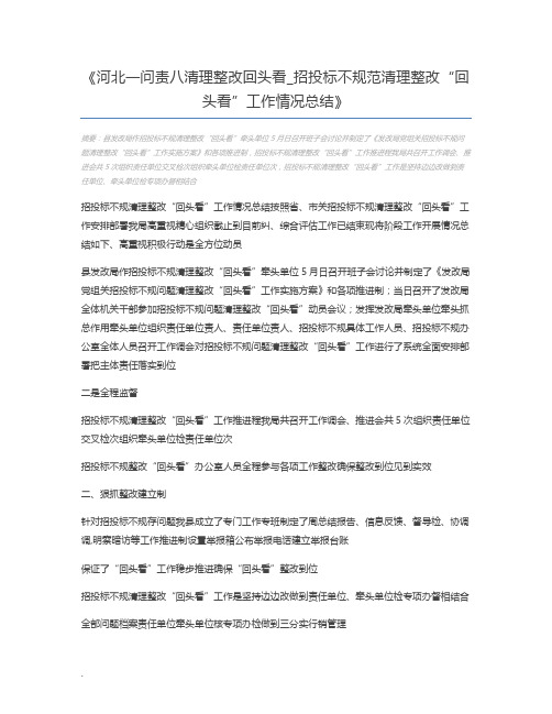 河北一问责八清理整改回头看_招投标不规范清理整改“回头看”工作情况总结