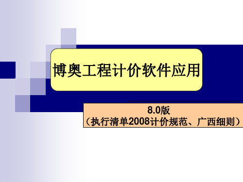 博奥清单8.0版软件基本应用