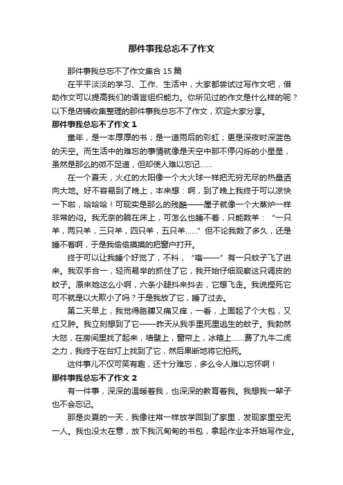 那件事我总忘不了作文