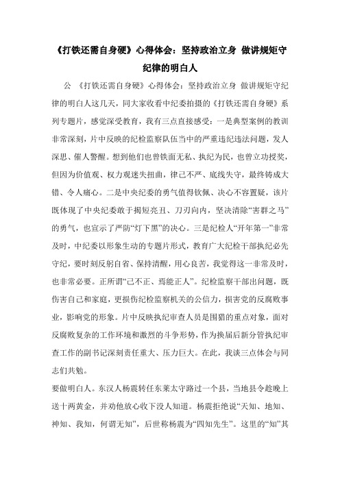 《打铁还需自身硬》心得体会：坚持政治立身 做讲规矩守纪律的明白人