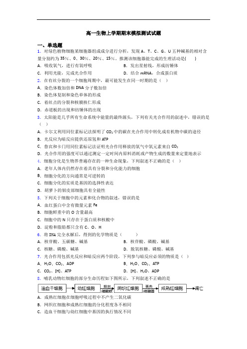 高一生物上学期期末模拟测试试题