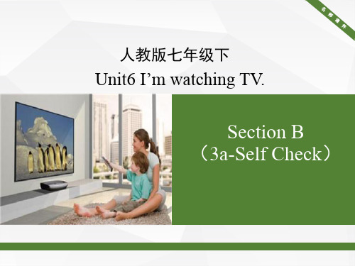 人教版英语七年级下册Unit6 SectionB(3a-Self Check)名师课件