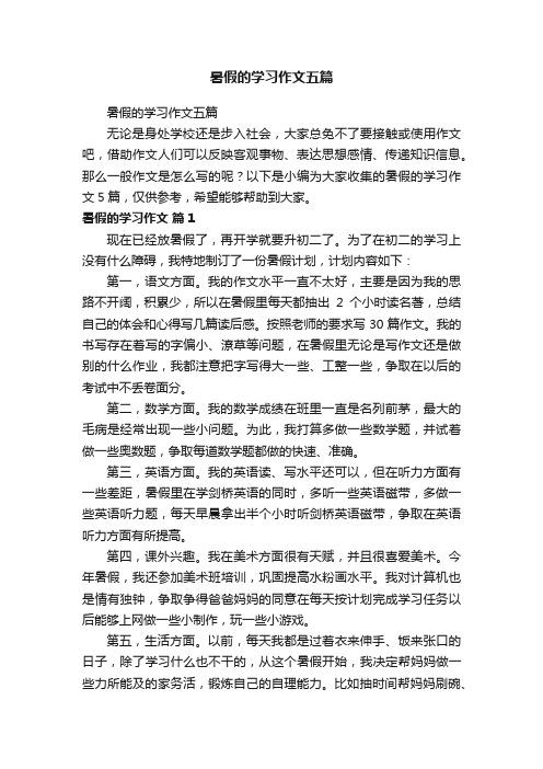 暑假的学习作文五篇