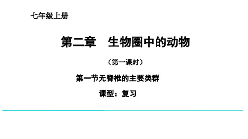 生物圈中的动物-无脊椎动物复习课件济南版生物七年级上册