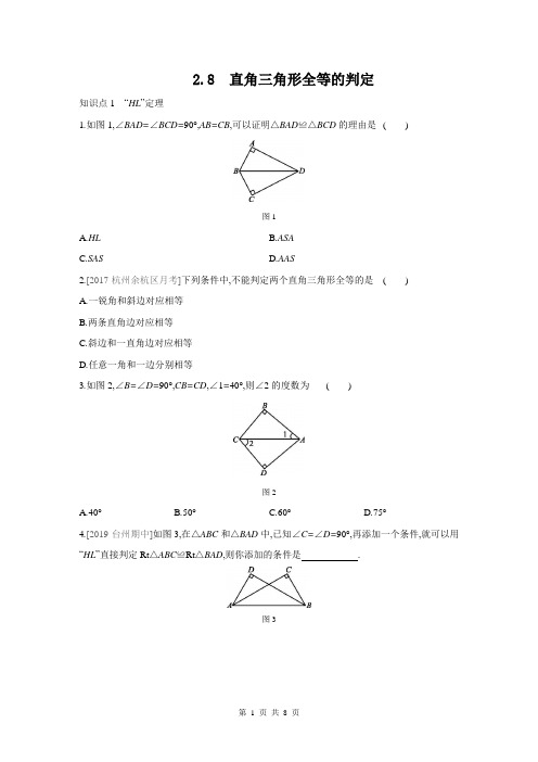 直角三角形全等的判定 浙教版八年级数学上册同步练习(含答案)