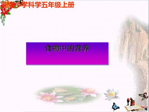 六年级科学上册2.1食物中的营养 PPT精品课件3湘教版