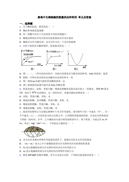 新高中生物细胞的能量供应和利用 单元及答案