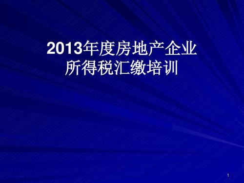 2013年度房地产所得税年报培训