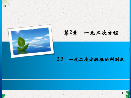 九年级数学上册湘教版习题课件：2.3 一元二次方程根的判别式