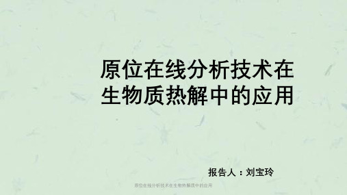 原位在线分析技术在生物热解质中的应用课件