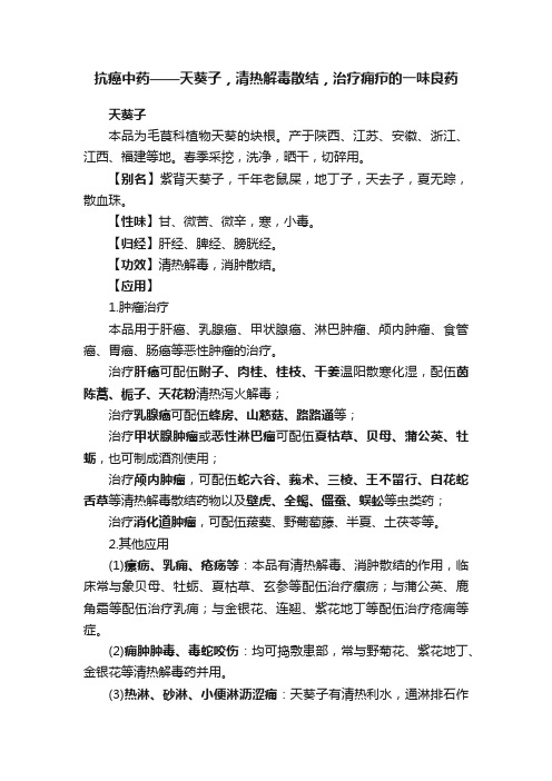 抗癌中药——天葵子，清热解毒散结，治疗痈疖的一味良药