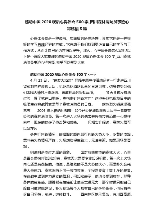 感动中国2020观后心得体会500字_四川森林消防员事迹心得感悟5篇