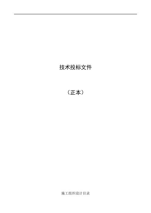 供热管道投标文件 标段终版