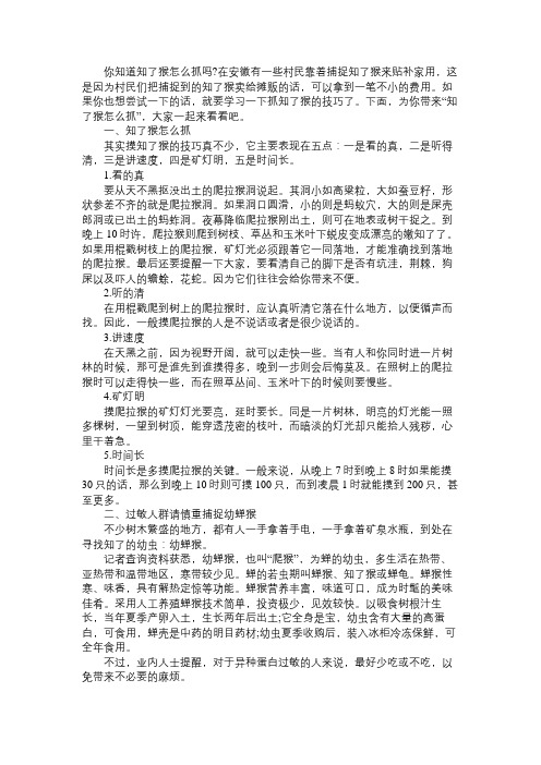 知了猴怎么抓