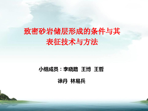 致密砂岩储层形成条件及其表征方法