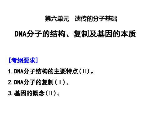 高考生物必修2人教版3.2DNA分子的结构、复制及基因的本质 课件_