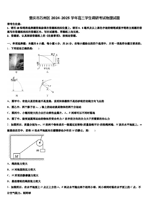 重庆市万州区2024-2025学年高三学生调研考试物理试题含解析