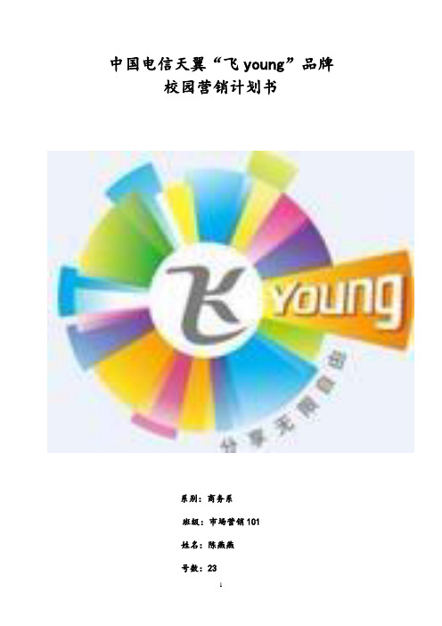 中国电信天翼“飞young”品牌